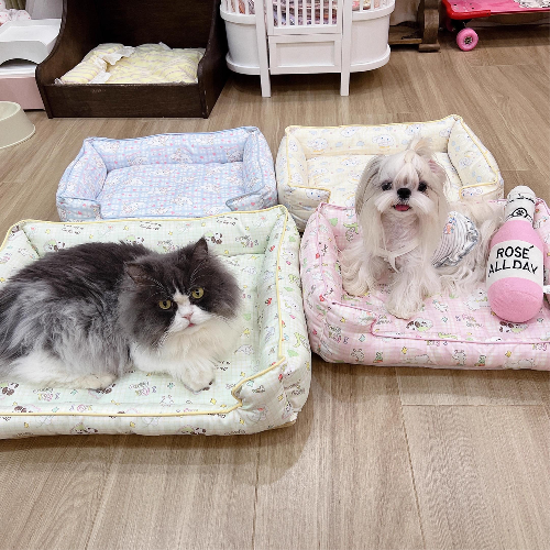 Pet Bed
